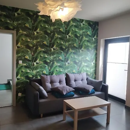 Osrodek Wypoczynkowy Mirabelka *