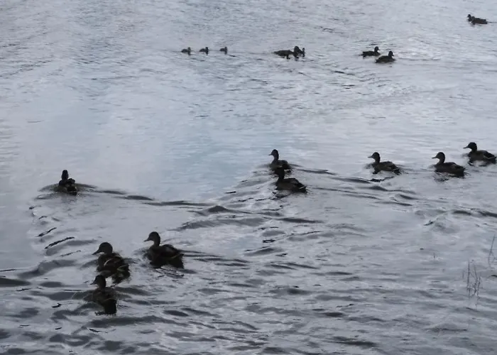 Osrodek Wypoczynkowy Mirabelka אתר נופש