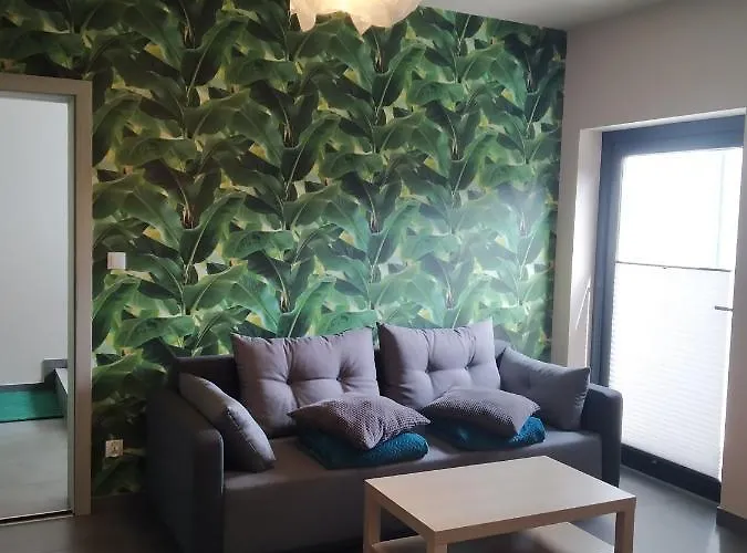 Osrodek Wypoczynkowy Mirabelka *